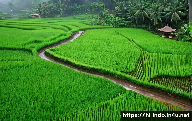 인도네시아 날씨와 계절 관련 이미지 1